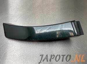 Trim Strip Mudguard LEXUS GS (_S16_)