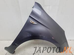 Spatbord HYUNDAI i20 (PB, PBT)