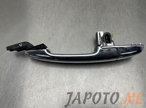 Door Handle SUZUKI BALENO (FW, EW)