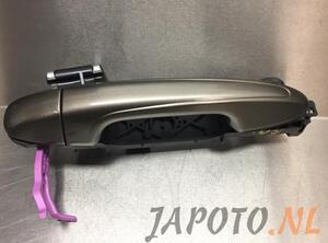 Door Handle TOYOTA RAV 4 IV (_A4_)