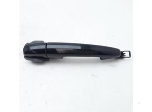 Door Handle SUZUKI IGNIS III (MF)