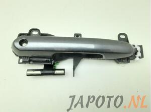 Door Handle TOYOTA RAV 4 V (_A5_, _H5_)