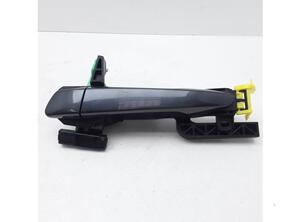 Door Handle LEXUS CT (ZWA10_)