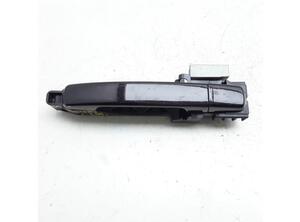 Door Handle NISSAN QASHQAI / QASHQAI +2 I (J10, NJ10, JJ10E)