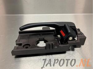 Door Handle HYUNDAI i10 II (BA, IA)