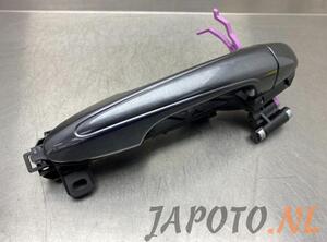 Door Handle TOYOTA RAV 4 IV (_A4_)