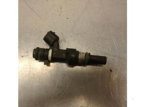 Injector Nozzle NISSAN MICRA IV (K13_)