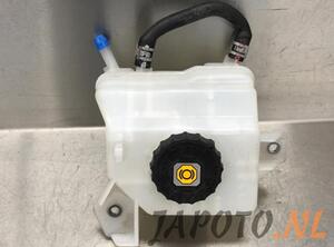 Coolant Expansion Tank TOYOTA RAV 4 V (_A5_, _H5_)