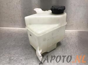 Coolant Expansion Tank HYUNDAI ix20 (JC)