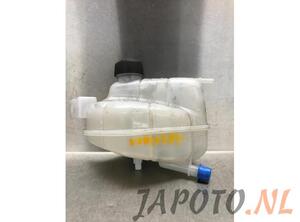 Coolant Expansion Tank NISSAN QASHQAI II SUV (J11, J11_)