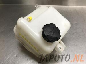 Coolant Expansion Tank HYUNDAI ix35 (LM, EL, ELH), HYUNDAI TUCSON (TL, TLE)