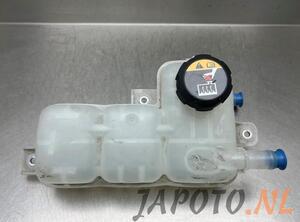 Coolant Expansion Tank KIA NIRO I (DE)