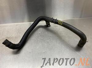 Radiator Hose NISSAN MICRA V (K14)