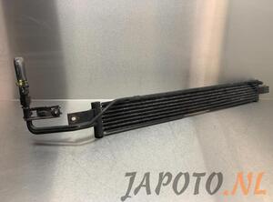 Oil Cooler KIA CARENS III MPV (UN)