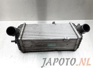 Intercooler HYUNDAI i20 (PB, PBT)