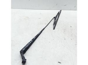 Wiper Arm DAIHATSU SIRION (M3_), SUBARU JUSTY IV