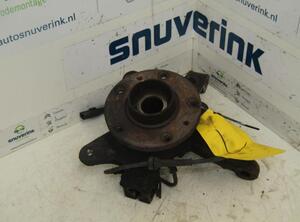 Stub Axle RENAULT KANGOO Express (FW0/1_)