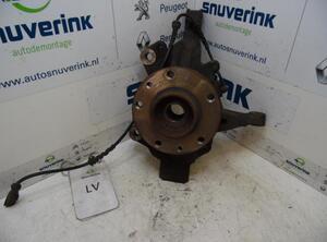 Stub Axle RENAULT MEGANE III Grandtour (KZ0/1)