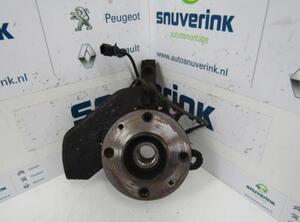 Stub Axle RENAULT Twingo II (CN0)