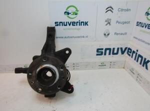 Stub Axle RENAULT KANGOO Express (FW0/1_)