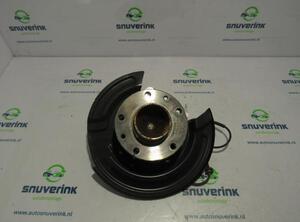 Stub Axle RENAULT Zoe (BFM)