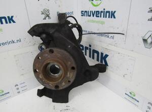 Stub Axle PEUGEOT Bipper (AA)