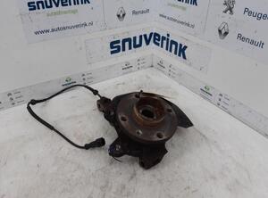 Stub Axle RENAULT Twingo II (CN0)