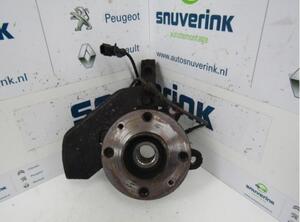 Stub Axle RENAULT Twingo II (CN0)