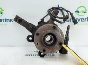 Stub Axle RENAULT Twingo II (CN0)