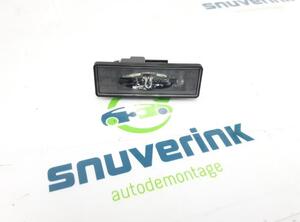 Licence Plate Light RENAULT Arkana I (LCM_)