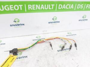 Temperature Sensor RENAULT EXPRESS Box Body/MPV