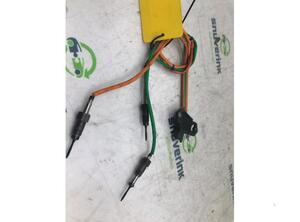 Temperature Sensor RENAULT MASTER III Van (FV)