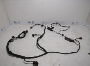 Wiring Harness CITROËN DS5 (--), DS DS5 (KF), DS DS5 (--)