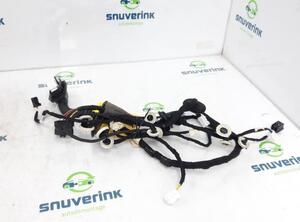 Wiring Harness RENAULT Arkana I (LCM_)