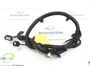 Wiring Harness RENAULT Zoe (BFM)