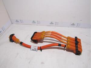 Wiring Harness RENAULT Zoe (BFM)