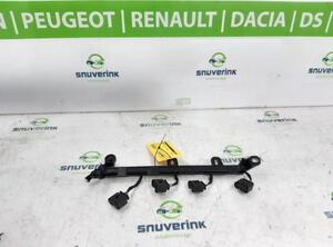 Wiring Harness RENAULT CAPTUR II (HF_)