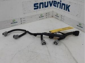 Wiring Harness RENAULT CLIO IV (BH_)