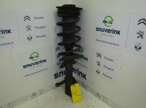 Suspension Strut RENAULT KANGOO Express (FW0/1_)