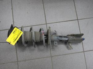 Suspension Strut RENAULT KANGOO Express (FW0/1_)