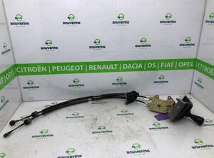 Transmission Shift Lever FIAT FIORINO Box Body/MPV (225_), FIAT QUBO (225_)