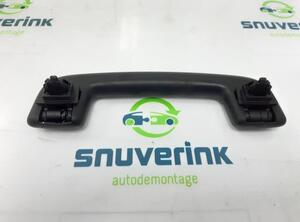 Grab Handle RENAULT Arkana I (LCM_)