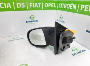 Wing (Door) Mirror RENAULT Twingo II (CN0)