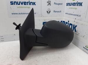 Wing (Door) Mirror RENAULT Twingo II (CN0)