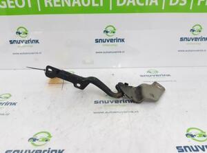 Bonnet Hinge RENAULT Clio III (BR0/1, CR0/1), RENAULT Clio II (BB, CB), RENAULT Clio IV (BH)