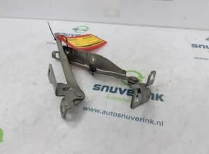 Bonnet Hinge CITROËN C3 II (SC), CITROËN DS3 (--), CITROËN C3 III (SX)