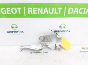 Bonnet Hinge RENAULT ZOE (BFM_), RENAULT ZOE Hatchback Van (BFM_)