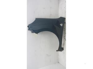 Spatbord RENAULT Kangoo/Grand Kangoo (KW0/1), RENAULT Kangoo Be Bop (KW0/1), RENAULT Kangoo Express (FW0/1)