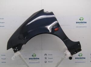 Spatbord RENAULT Twingo I (C06)