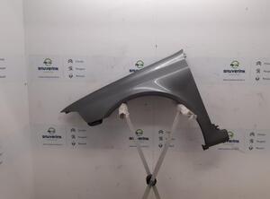 Spatbord RENAULT Laguna II Grandtour (KG0/1)